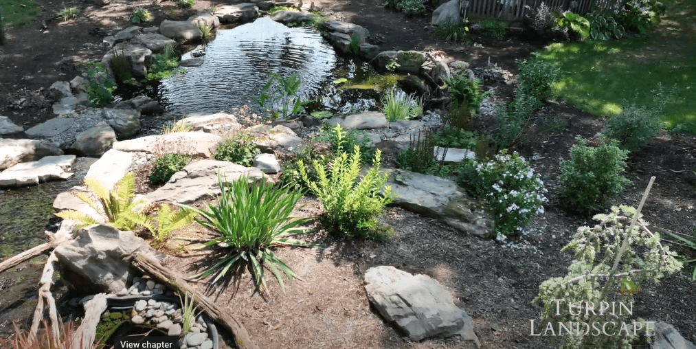 Screenshot 2024-07-19 at 2.22.33 PM